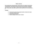 Referāts 'Florbols', 4.