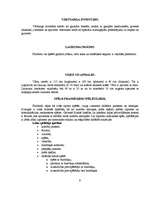 Referāts 'Florbols', 9.