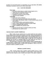 Referāts 'Florbols', 13.