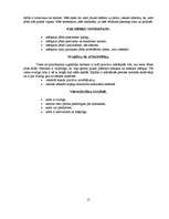 Referāts 'Florbols', 15.