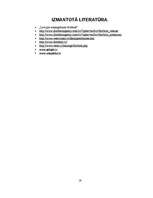 Referāts 'Florbols', 19.