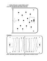 Referāts 'Florbols', 23.