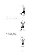 Referāts 'Florbols', 79.