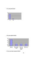 Referāts 'Florbols', 89.