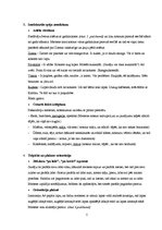 Konspekts 'Bērna runas un valodas izpēte pirmsskolas vecumā', 5.