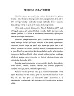 Referāts 'Florbola sitiena anatomiskā analīze', 2.