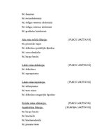 Referāts 'Florbola sitiena anatomiskā analīze', 5.