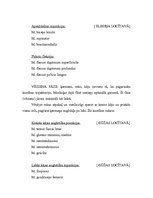 Referāts 'Florbola sitiena anatomiskā analīze', 6.