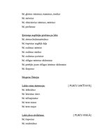 Referāts 'Florbola sitiena anatomiskā analīze', 7.