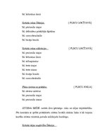 Referāts 'Florbola sitiena anatomiskā analīze', 8.