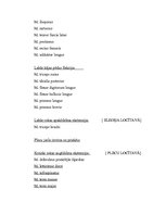 Referāts 'Florbola sitiena anatomiskā analīze', 9.