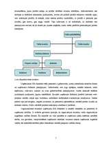 Prakses atskaite 'Sabiedrisko attiecību menedžera prakse', 5.