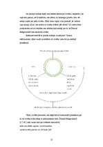 Referāts 'Filosofiskā doma grāmatā "Šrīmad Bhāgavatamā"', 22.