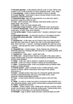 Konspekts 'Ģeogrāfiskie termini par pasaules iedzīvotājiem', 2.