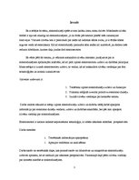 Referāts 'Elektriskie dzinēji un to pielietojums', 3.