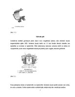 Referāts 'Elektriskie dzinēji un to pielietojums', 7.