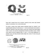 Referāts 'Elektriskie dzinēji un to pielietojums', 15.