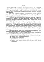 Referāts 'Uzņēmuma "Dzintars" analīze', 3.
