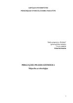 Prakses atskaite 'Pedagoģiskā prakse', 1.