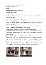 Prakses atskaite 'Pedagoģiskā prakse', 8.