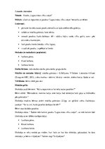 Prakses atskaite 'Pedagoģiskā prakse', 12.