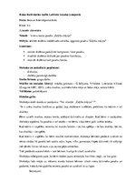 Prakses atskaite 'Pedagoģiskā prakse', 16.