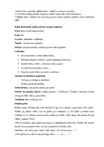 Prakses atskaite 'Pedagoģiskā prakse', 17.