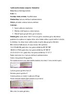 Prakses atskaite 'Pedagoģiskā prakse', 33.