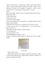 Prakses atskaite 'Pedagoģiskā prakse', 34.