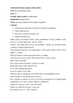 Prakses atskaite 'Pedagoģiskā prakse', 40.