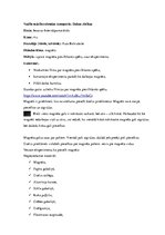 Prakses atskaite 'Pedagoģiskā prakse', 42.