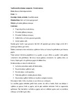 Prakses atskaite 'Pedagoģiskā prakse', 46.