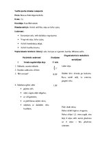 Prakses atskaite 'Pedagoģiskā prakse', 62.