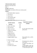 Prakses atskaite 'Pedagoģiskā prakse', 72.