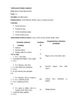 Prakses atskaite 'Pedagoģiskā prakse', 75.