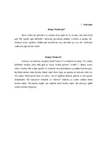 Prakses atskaite 'Pedagoģiskā prakse', 78.