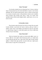 Prakses atskaite 'Pedagoģiskā prakse', 80.