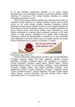 Prakses atskaite 'Valsts ieņēmumu dienests', 6.