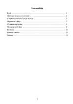 Referāts 'Brīvības cīņas', 2.