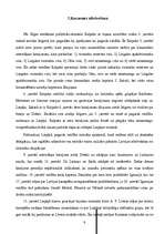 Referāts 'Brīvības cīņas', 9.