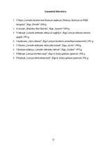 Referāts 'Brīvības cīņas', 23.