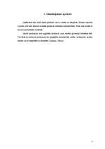 Referāts 'Metāla karkass', 3.