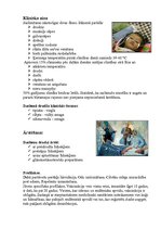 Referāts 'Dzeltenais drudzis', 4.