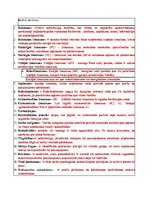 Konspekts 'Tēmas "Ražošana" jēdzieni un to skaidrojumi', 1.