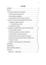 Diplomdarbs 'Pašdarbības kolektīvu sadraudzības pasākuma projekta izstrāde kultūras nozares i', 5.