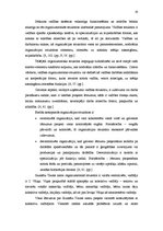 Diplomdarbs 'Pašdarbības kolektīvu sadraudzības pasākuma projekta izstrāde kultūras nozares i', 16.