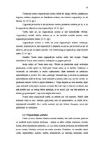 Diplomdarbs 'Pašdarbības kolektīvu sadraudzības pasākuma projekta izstrāde kultūras nozares i', 19.