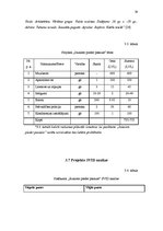Diplomdarbs 'Pašdarbības kolektīvu sadraudzības pasākuma projekta izstrāde kultūras nozares i', 38.