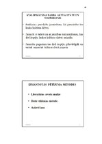 Diplomdarbs 'Pašdarbības kolektīvu sadraudzības pasākuma projekta izstrāde kultūras nozares i', 49.