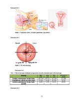 Diplomdarbs 'Sieviešu izglītošanas norise par dzemdes kakla vēža profilaksi', 51.